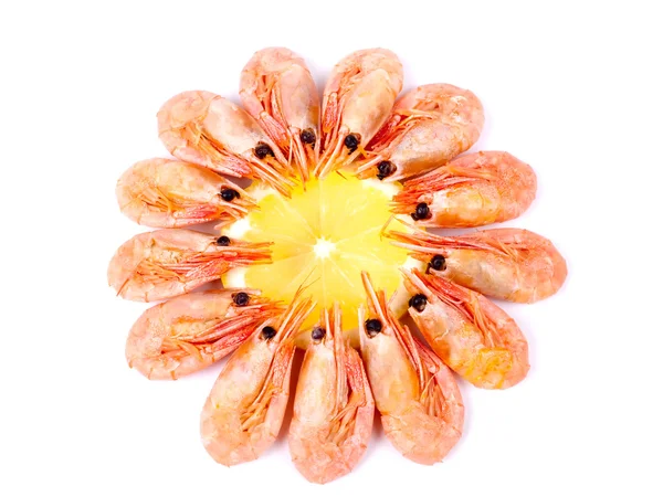 Γαρίδες σε φέτες λεμόνι — Φωτογραφία Αρχείου
