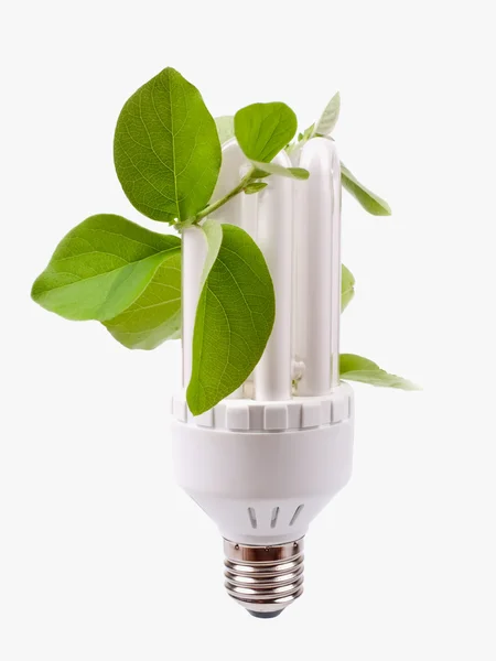 stock image Fluorescent light bulb with green plant