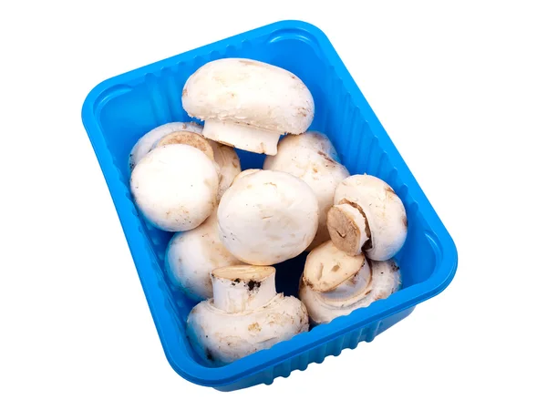 stock image Champignons in a box