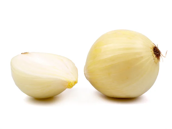 stock image Bulb onion