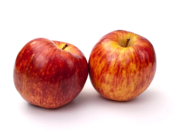 Червоні смугасті яблука — стокове фото