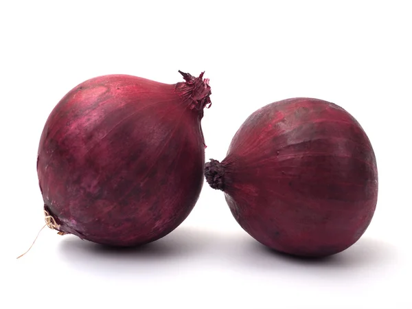 Red bulb onion — Stock Photo, Image