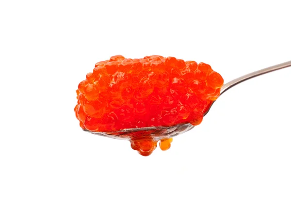 Caviar vermelho na colher — Fotografia de Stock