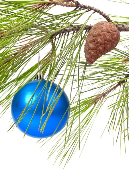 Χριστουγεννιάτικη μπάλα στο κλαδί πεύκου — Φωτογραφία Αρχείου