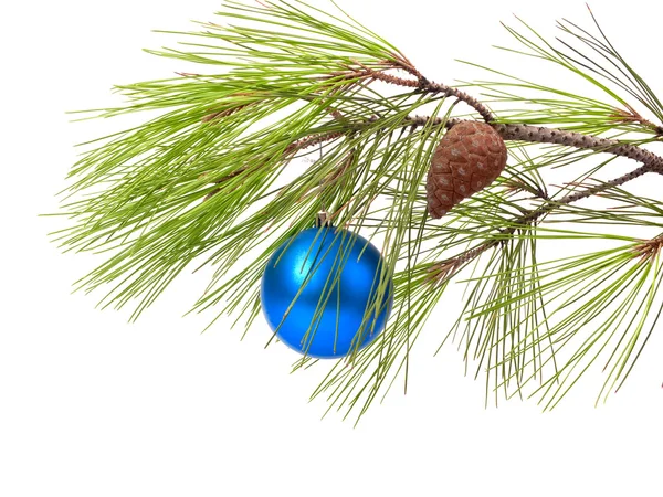 Christmas ball on pine branch — Stock Photo, Image