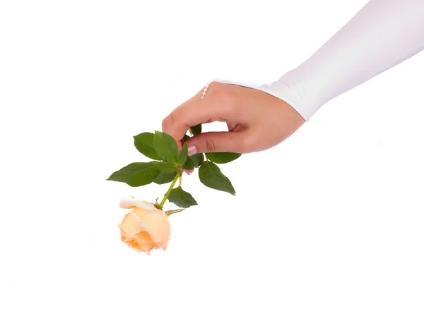 Vrouw handen in bruiloft handschoen met roos — Stockfoto