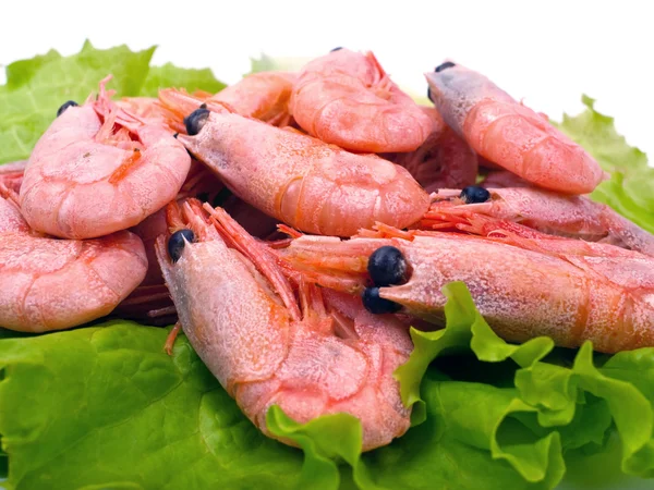 Krevety na salátových listech — Stock fotografie