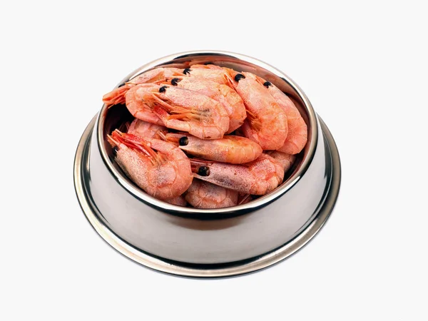 Shrimps in the bowl — Stock Photo, Image