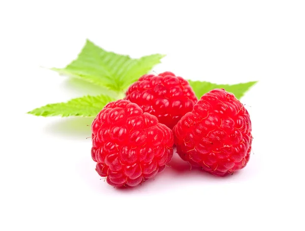 Raspberries with green leaves — Stock Photo, Image