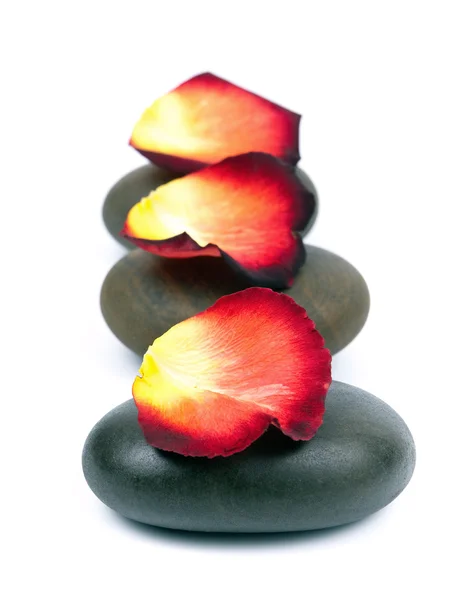 Stones with rose petal — Stock Photo, Image