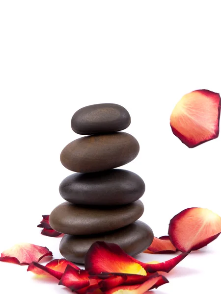 Stones with rose petals — Stock Photo, Image