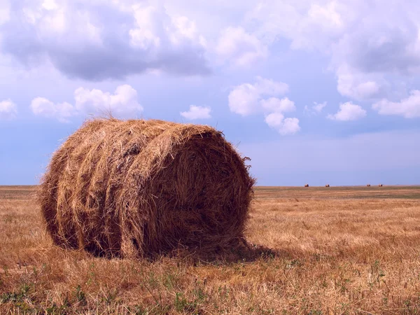 Single haycock on a field Stock Image