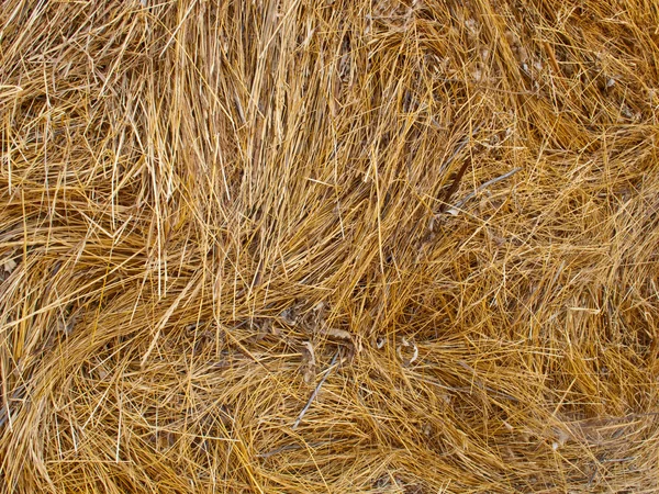 Straw useful as texture or background Stock Image