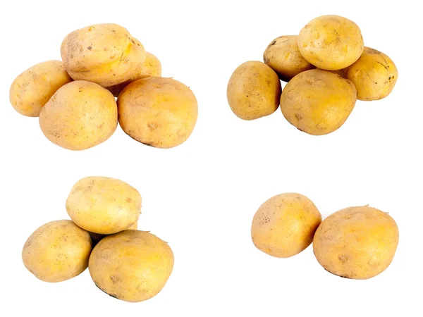Potatis Royaltyfria Stockfoton