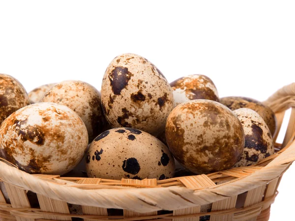 Quailes eggs in a basket Stock Image