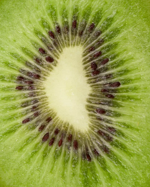 stock image Fresh kiwi