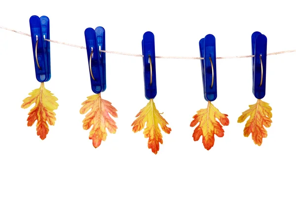 Clothespins with autumn leaves — Stock Photo, Image