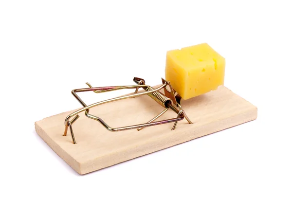 Mousetrap with piece of cheese — Stock Photo, Image