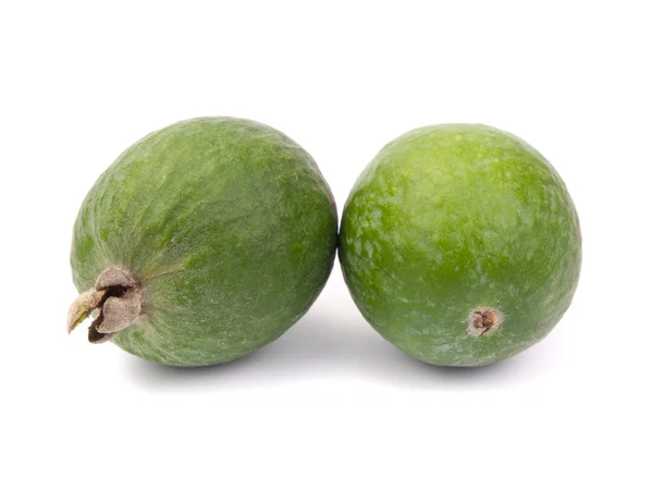 stock image Feijoas