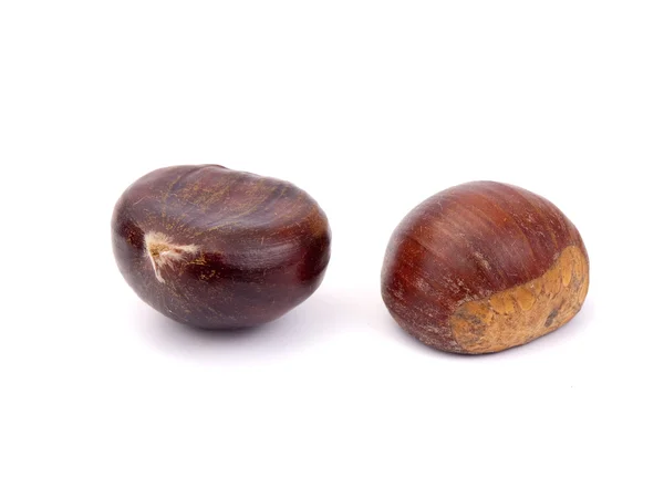 Chestnut — Stok Foto