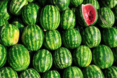 Watermelones clipart