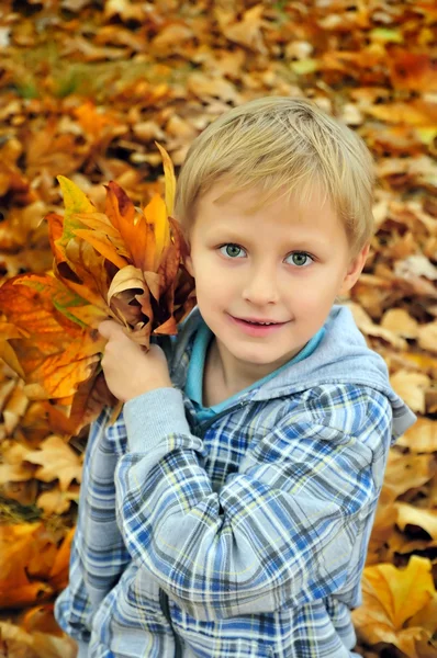 Schoolboy in fall time — Stock Photo, Image