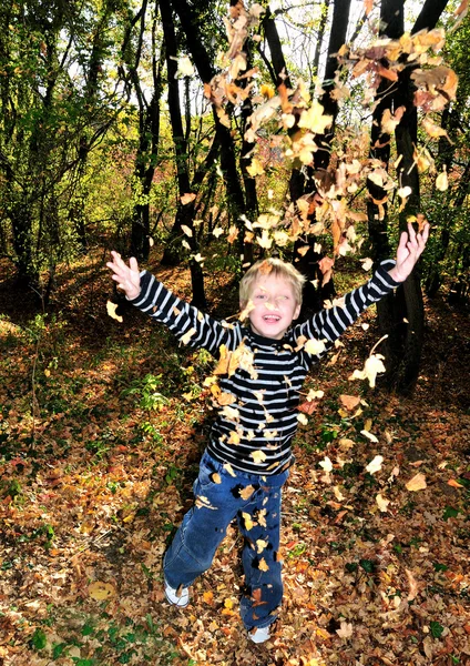 秋の楽しみ — ストック写真