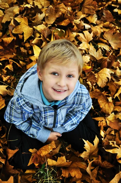 Schoolboy in fall time — Stock Photo, Image