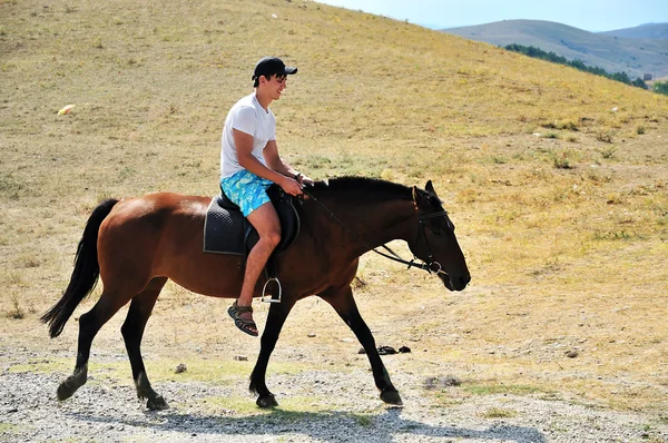 Man riding a horse — Stock Photo, Image