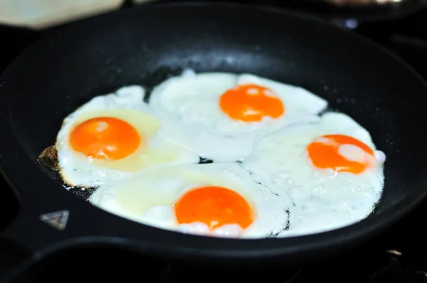 Stock image Fried eggs