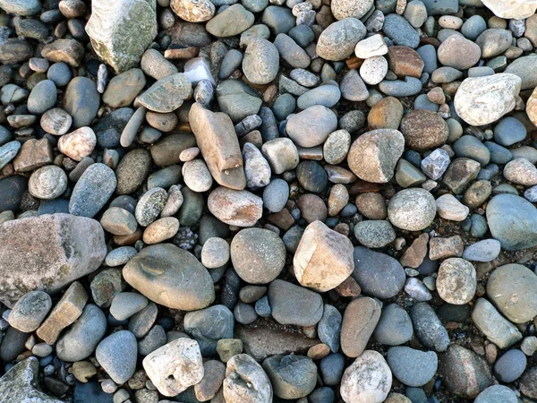 海の小石 3 — ストック写真