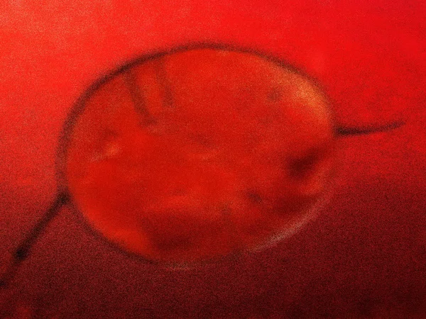 Monóculo vermelho desfocado — Fotografia de Stock