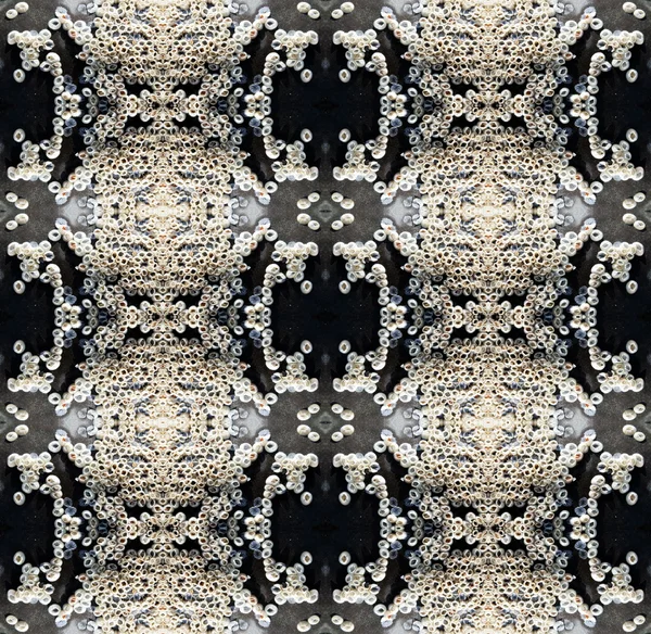 Seashells pattern — Stock Photo, Image