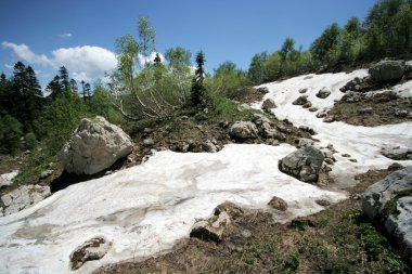 bir dağ yamacında