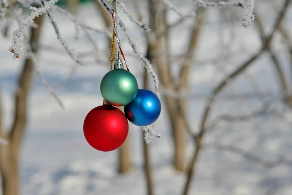 Drie kleuren ballen op een tak — Stockfoto