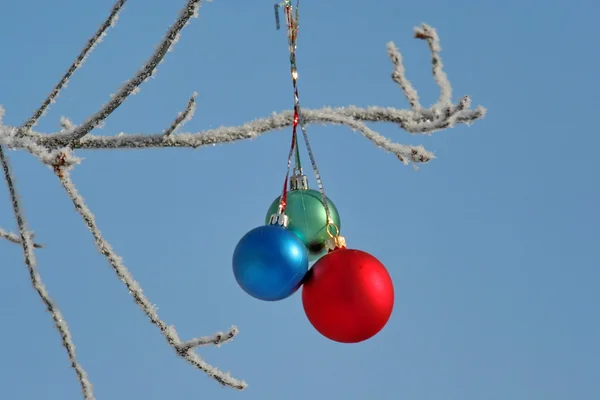 Tres bolas de color en una rama —  Fotos de Stock