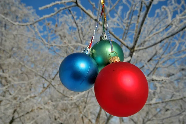Üç renkli topları bir ağaç üzerinde — Stok fotoğraf