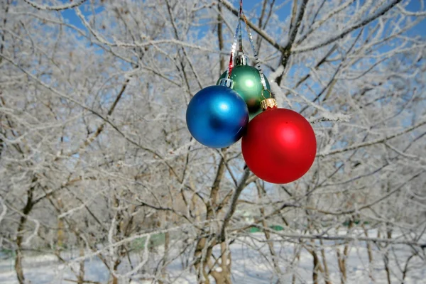 Trois boules sur la branche de l'arbre — Photo