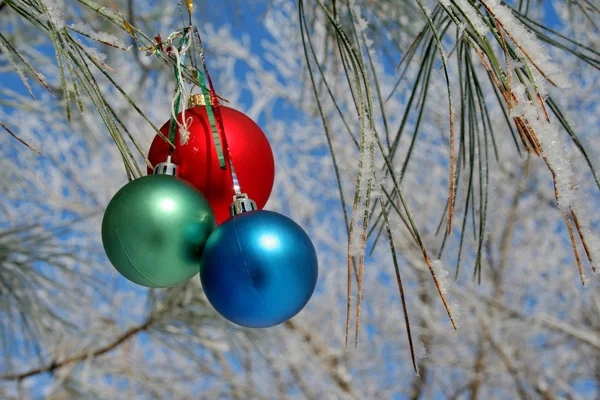 Tre färg bollar på en pines gren — Stockfoto