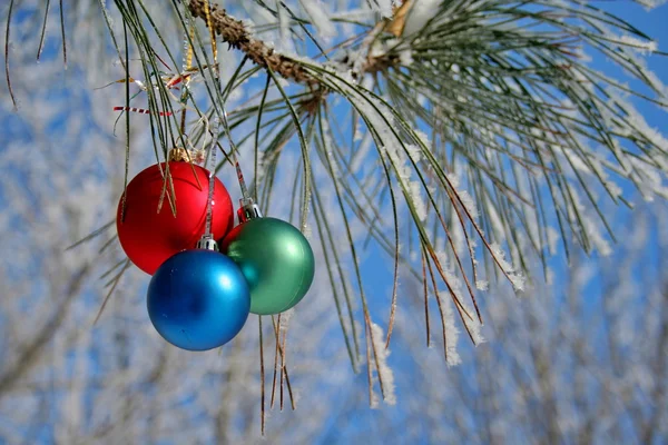 クリスマス ツリーの装飾 — ストック写真