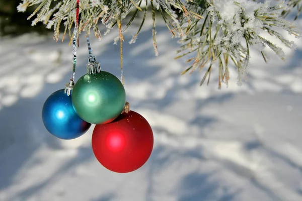 Three colour balls on a pines branch — Stock Photo, Image