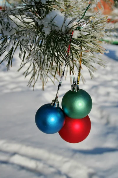Tres bolas de color en una rama de pinos — Foto de Stock