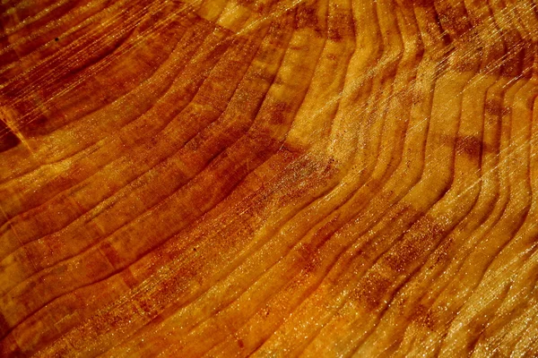 Brown face of the wood — Stock Photo, Image