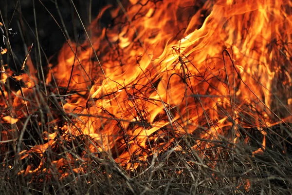 Flame 2 — Stock Photo, Image
