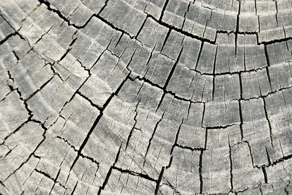 Velho corte de serra — Fotografia de Stock