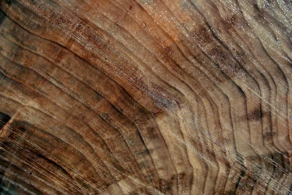 Темно-коричневый цвет дерева — стоковое фото