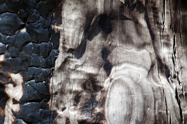 Сгоревшая кожица дерева — стоковое фото