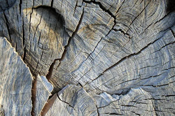 Staré řezali dřevo — Stock fotografie
