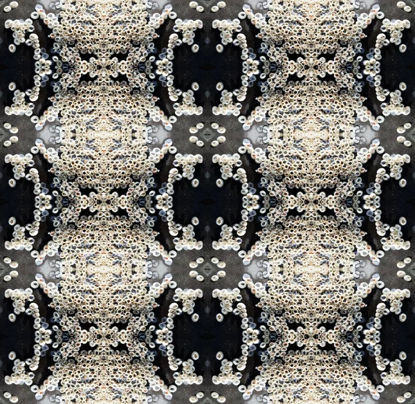 Seashells pattern — Stock Photo, Image