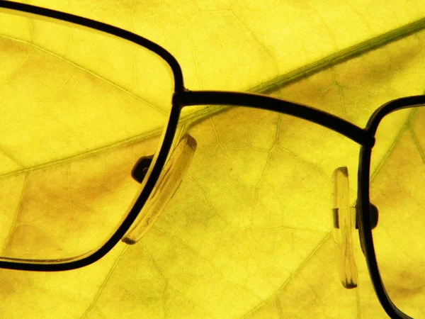 Brillen — Stockfoto